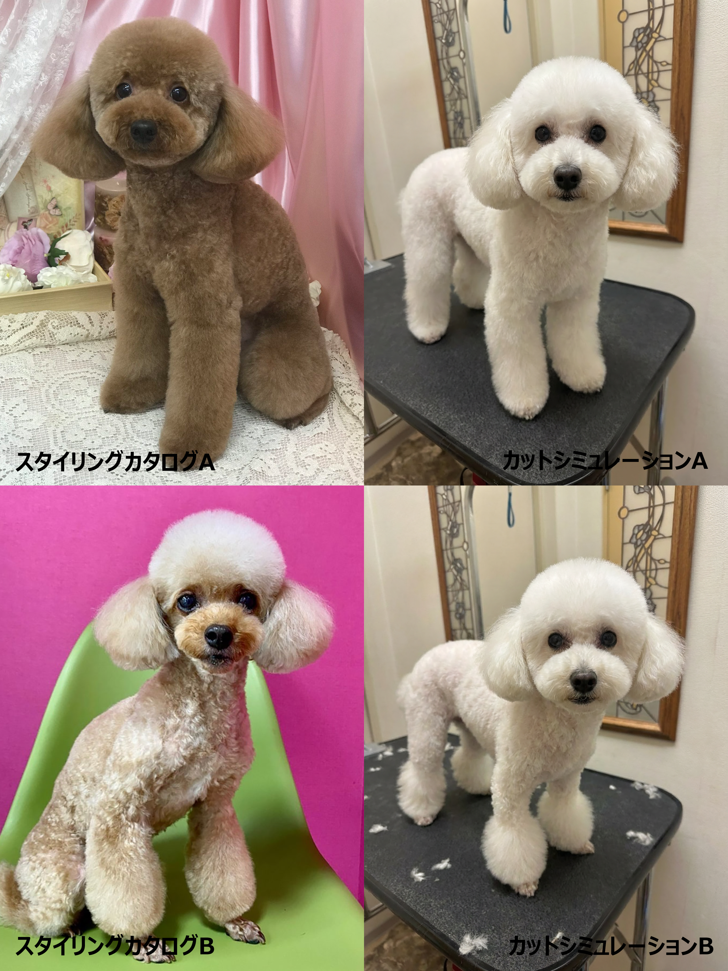 犬のスタイリングカタログとカットシミュレーションを並べた4分割の比較画像